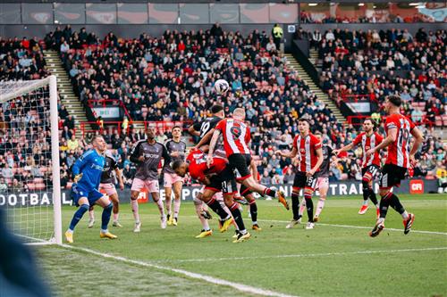 Sheffield United contre Fulham