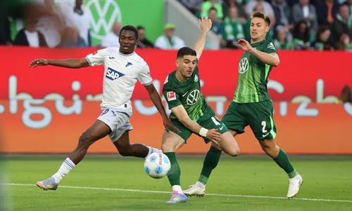 Vfl Wolfsbourg vs tsg Hoffenheim